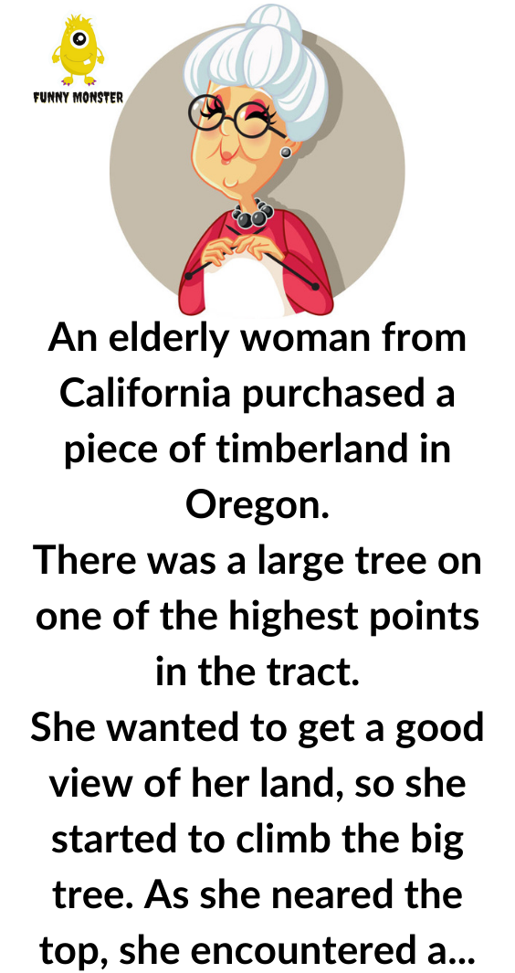 An Old Woman From California Purchased A Timber